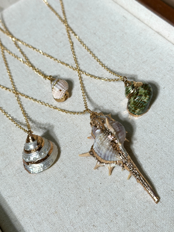 Erica Golden Shell Necklace