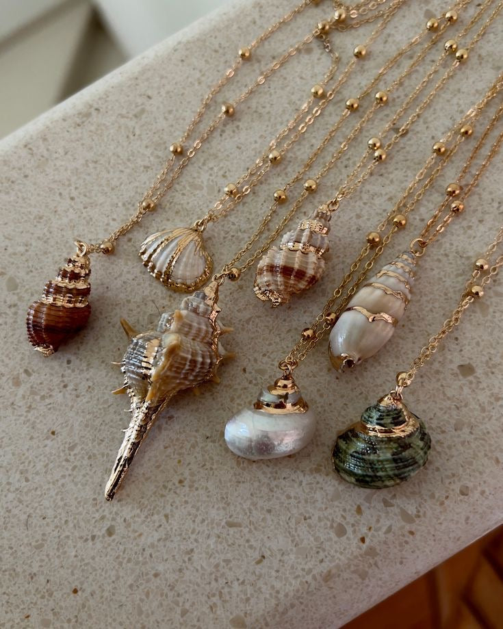 Erica Golden Shell Necklace – Missophia